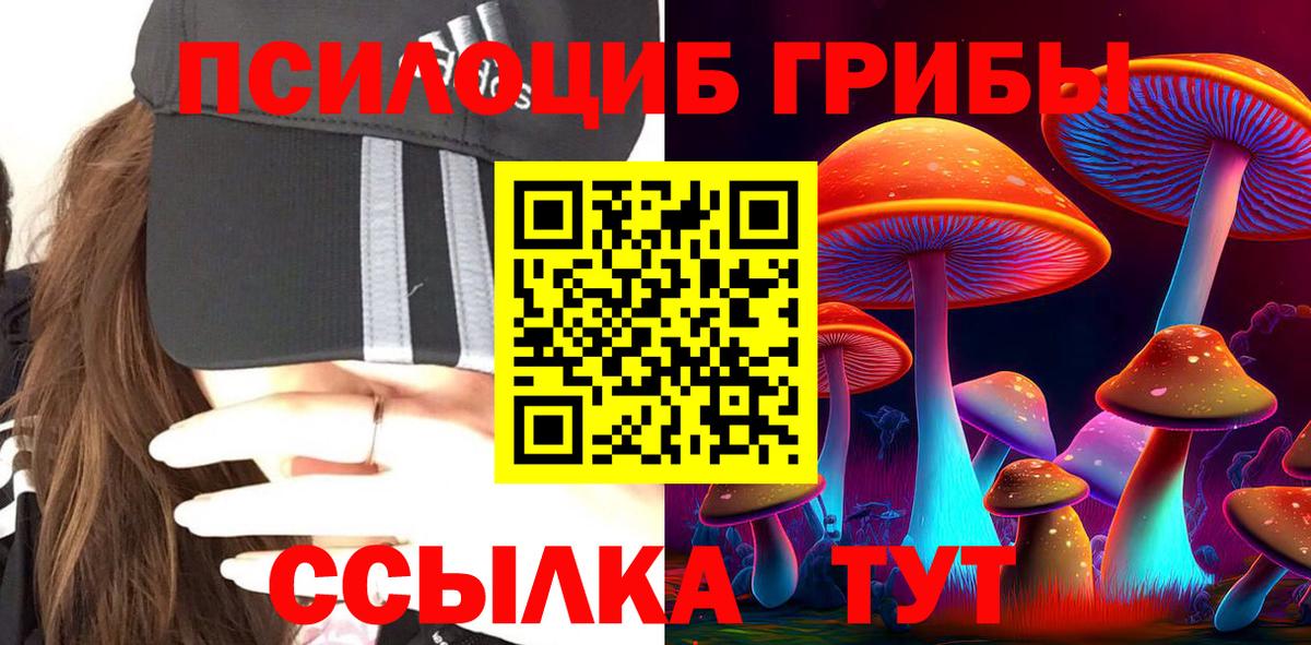 Псилоцибиновые грибы мухоморы  Псилоцибиновые грибы Cubensis  Шелехов  купить   Вход с VPN 